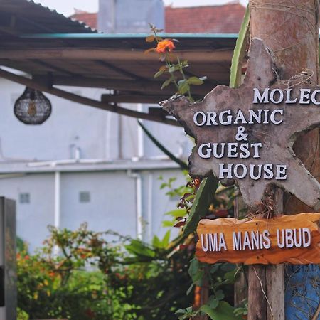 Hotel Uma Manis Ubud Zewnętrze zdjęcie