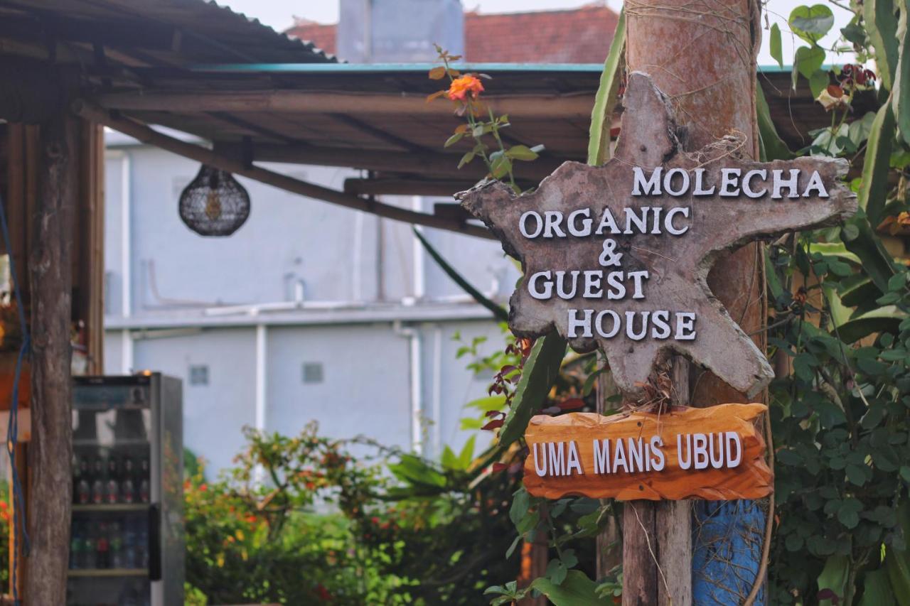 Hotel Uma Manis Ubud Zewnętrze zdjęcie